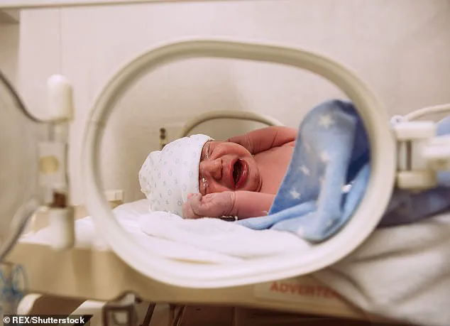 Prenatal Alcohol Exposure Linked to Higher Alcohol Dependence Risk via Brain Circuitry Changes, Study Finds