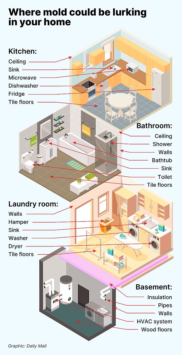 Three Years of Misdiagnosis: Schayene Silva's Journey to a Life-Threatening Discovery