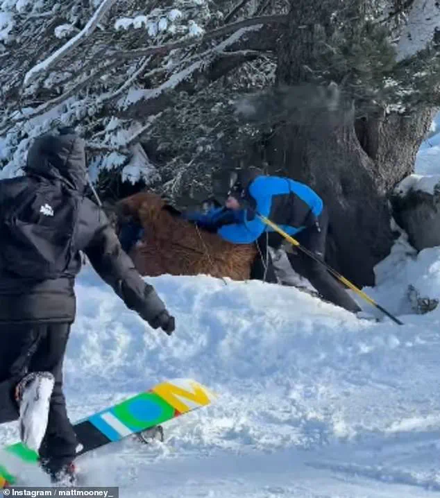 Viral Video Captures Brutal Assault on Star Wars Chewbacca Skier During Snowball Brawl at French Alps Resort