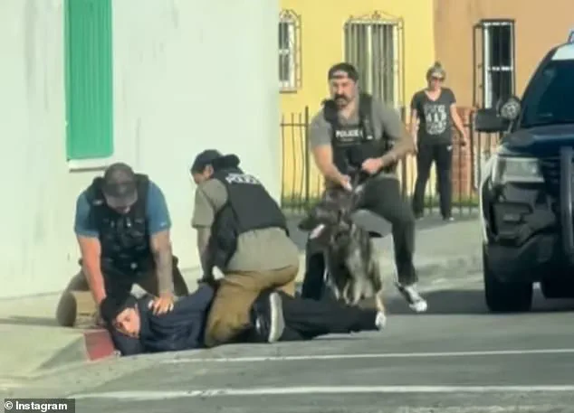 Viral Video of Teen Tackled by Officers Misinterpreted as ICE Raid; Authorities Clarify Involvement of Undercover Anaheim Police in Robbery Case