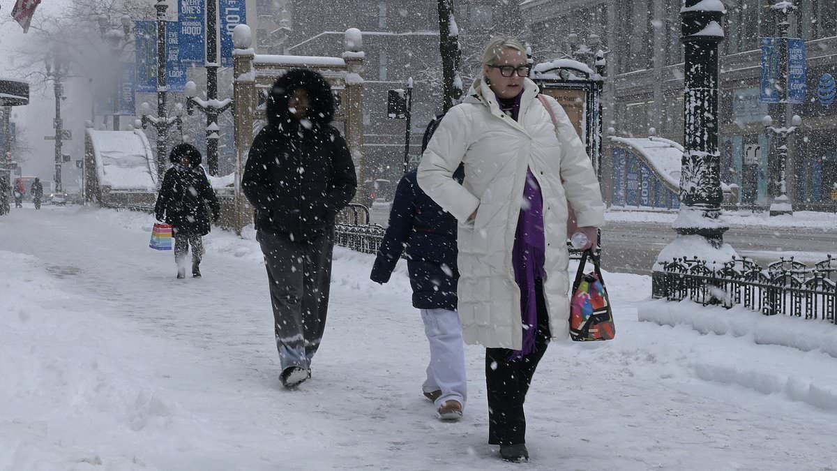 Rare Meningococcal Outbreak in Chicago Sparks Health Crisis as Two Die, Seven Confirmed