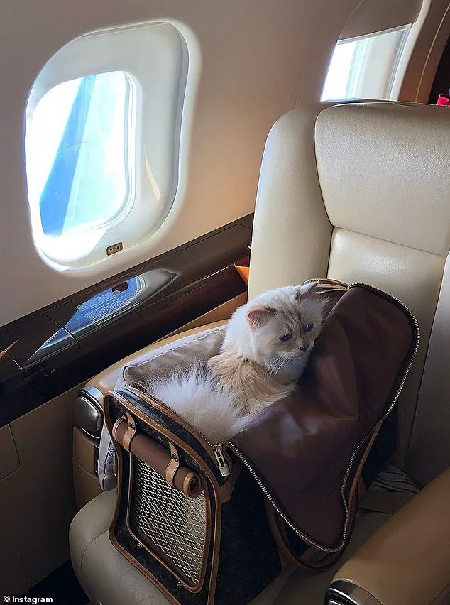 Legal Challenge to Karl Lagerfeld's Will Sparks Battle Over €200M Fortune