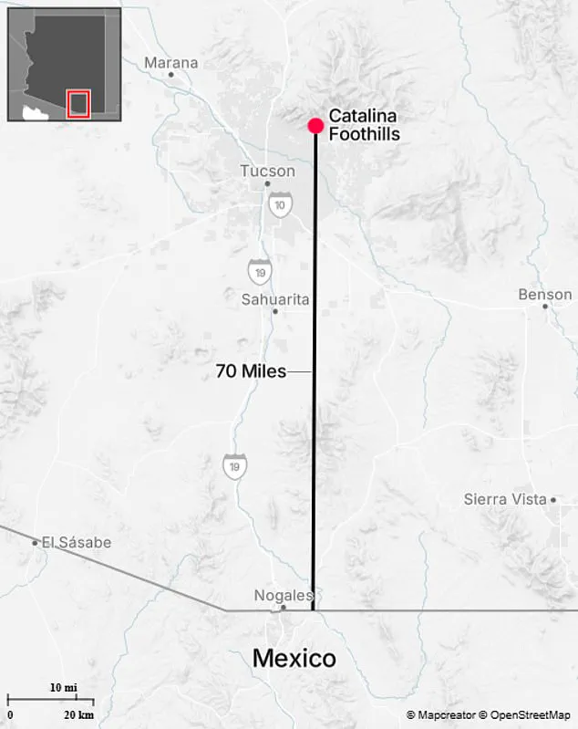 Unusual Roof Condition Sparks New Scrutiny in Nancy Guthrie's Disappearance Case