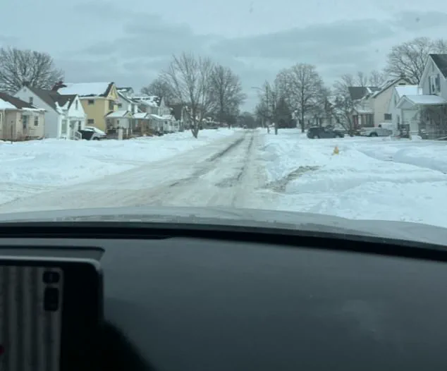 Accused Nazi's Controversial Home in Pennsylvania Suburb Reveals Secrets and Legal Battles