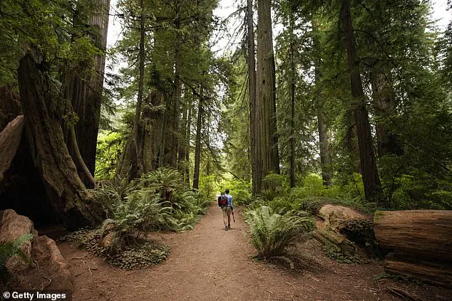 California Defies Trump Administration by Offering Free State Park Access on MLK Day