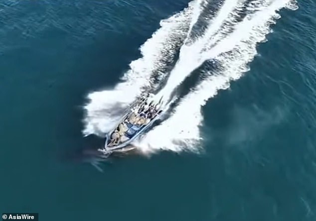 Bryde's Whale Injured in Collision with Fishing Boat Near Weizhou Island