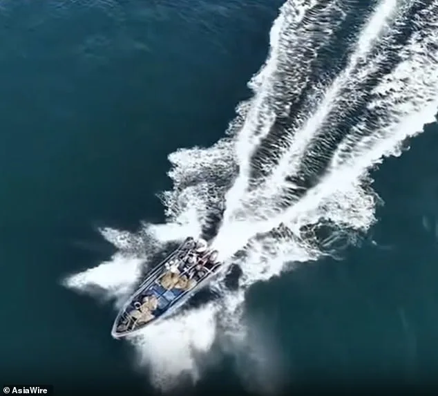 Bryde's Whale Injured in Collision with Fishing Boat Near Weizhou Island