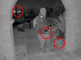 Forensics Tent's Brief Stay at Nancy Guthrie's Home Signals Secretive Disappearance Probe