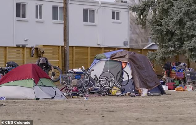 From Suburban Serenity to Homeless Encampment: The Alarming Transformation of Lakewood's Aviation Park