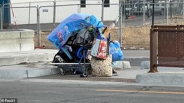 From Suburban Serenity to Homeless Encampment: The Alarming Transformation of Lakewood's Aviation Park