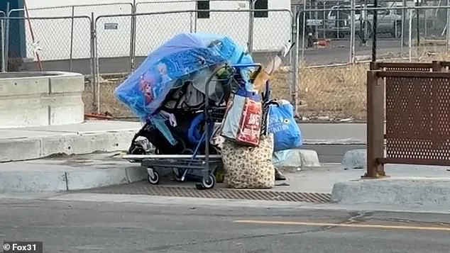 From Suburban Serenity to Homeless Encampment: The Alarming Transformation of Lakewood's Aviation Park