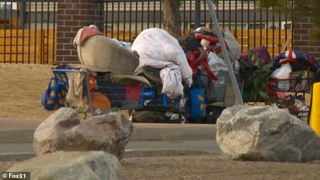 From Suburban Serenity to Homeless Encampment: The Alarming Transformation of Lakewood's Aviation Park