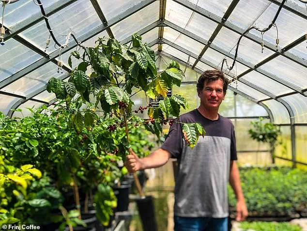 Tragic Accident Claims Lives of Coffee-Growing Couple, Leaving Three Children Orphaned and Community in Shock