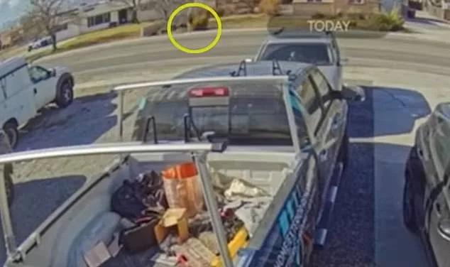 Utah Family's Terrifying Ride-Sharing Ordeal Sparks Questions About Child Safety Safeguards