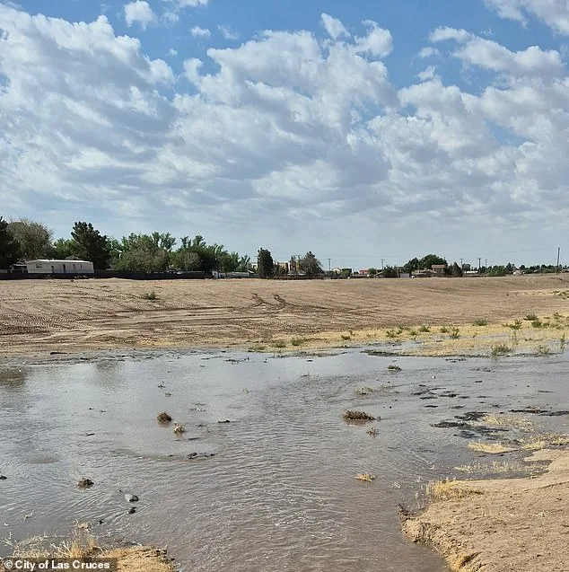 Tragic Case of Newborn Abandoned in Chemical Tank by Mother, Authorities Say