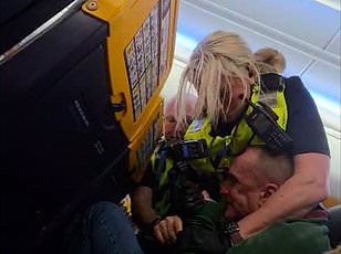 Ryanair Flight Forced to Reverse After Drunken Passenger's Violent Confrontation