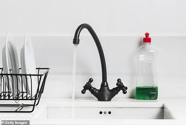 Why Your Kitchen Sink is 100,000 Times Dirtier Than Your Bathroom—and How to Stop Spreading Germs