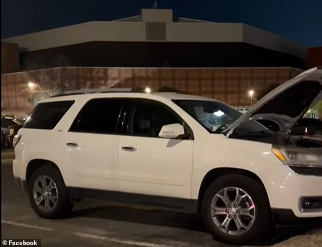 Bizarre Winter Incident: Groundhog Causes $4,900 in Damage to University of Arkansas Student's GMC Sierra