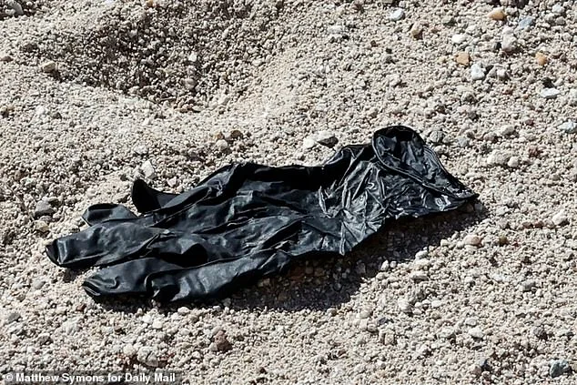 Nancy Guthrie Disappearance Case Faces Setback as FBI's Glove Evidence Fails DNA Match