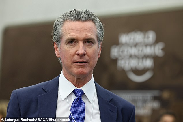 Op-Ed Sparks Controversy: Analyst Claims Democrats Have Lost 2028 Race Amid Fractured Field