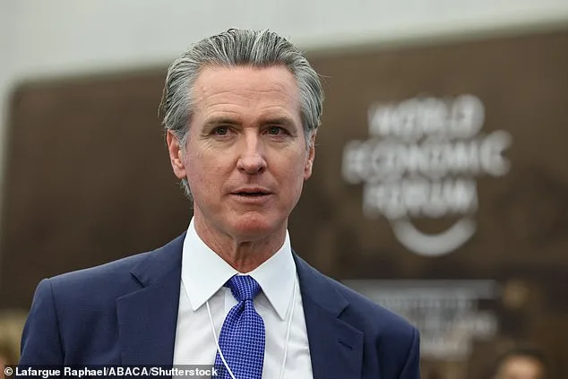 Op-Ed Sparks Controversy: Analyst Claims Democrats Have Lost 2028 Race Amid Fractured Field