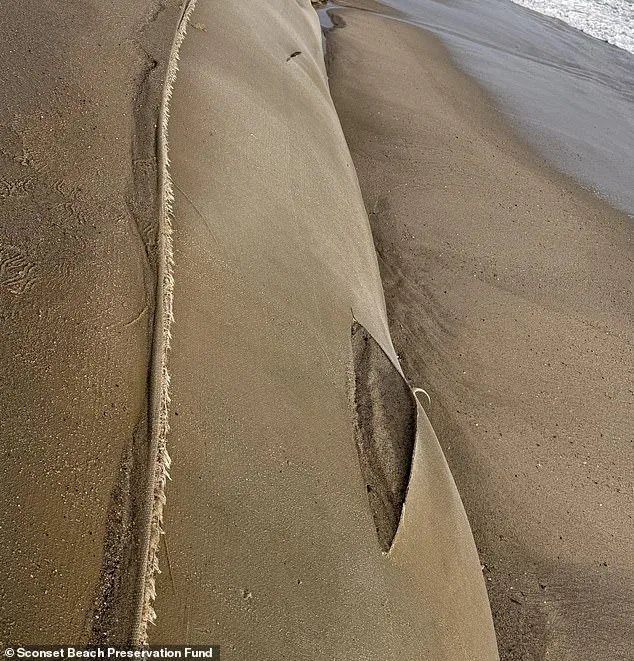 Nantucket's Coastal Crisis: Geotube Destruction Puts Million-Dollar Homes at Risk