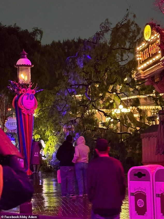 Romantic Date Turns Terrifying as 30-Foot Ficus Tree Collapses on Disneyland Couple During Valentine's Event