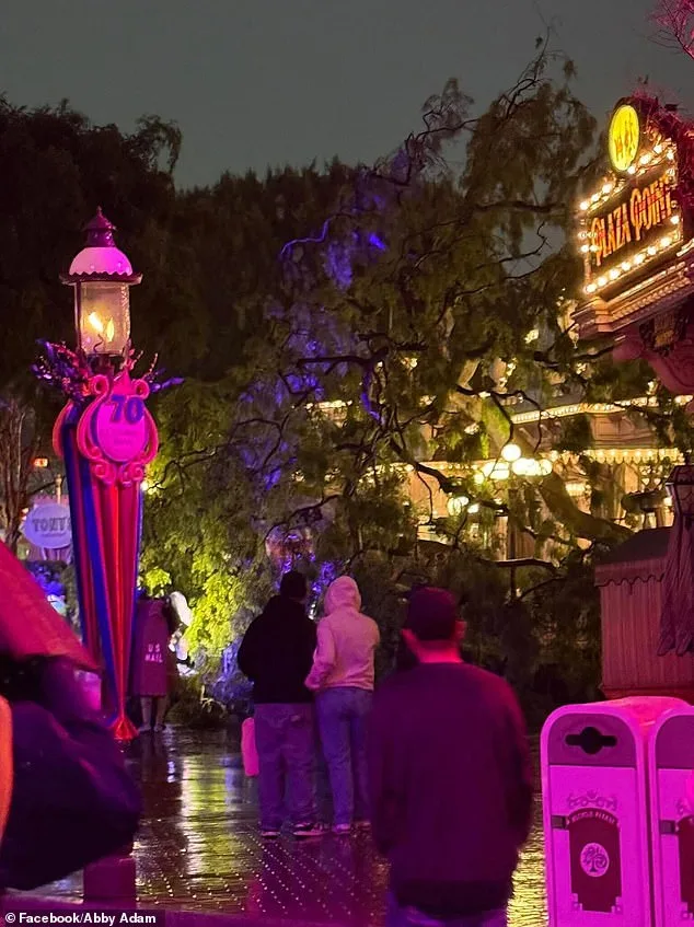 Romantic Date Turns Terrifying as 30-Foot Ficus Tree Collapses on Disneyland Couple During Valentine's Event