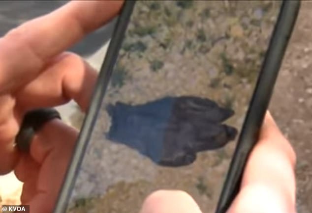 Tucson Couple Discovers Bloody Glove Near Home of Missing Nancy Guthrie