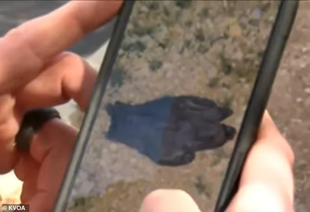 Tucson Couple Discovers Bloody Glove Near Home of Missing Nancy Guthrie
