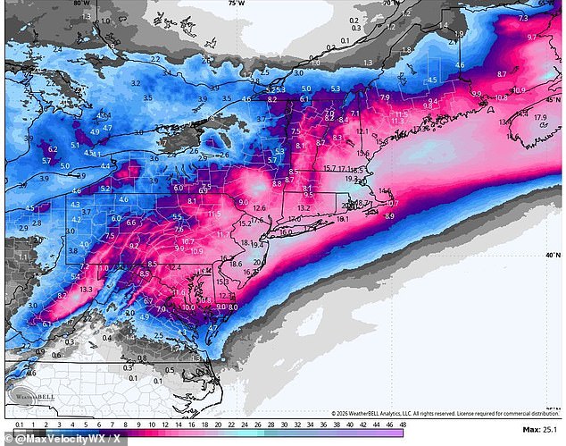 Historic Blizzard and Government Response: How the Northeast Will Survive Winter Storm Hernando