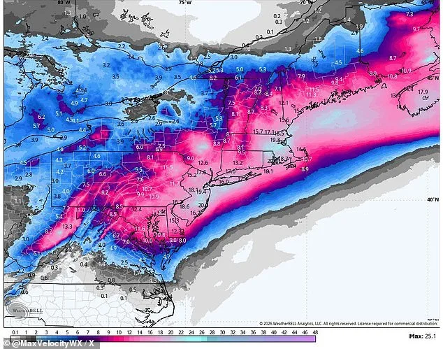 Historic Blizzard and Government Response: How the Northeast Will Survive Winter Storm Hernando