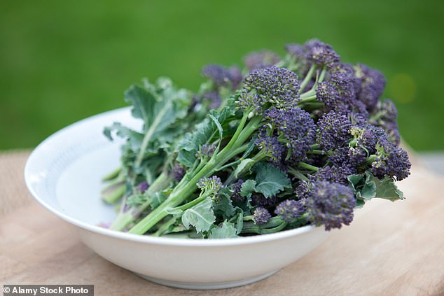Broccoli: The Ancient Vegetable with Modern Health Secrets That Could Transform Your Diet