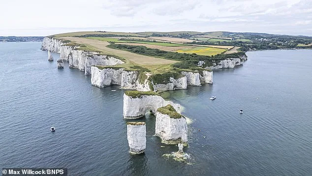 Dorset Cliffs Incident: Social Media Fuels Rise in Dangerous Tourist Behavior