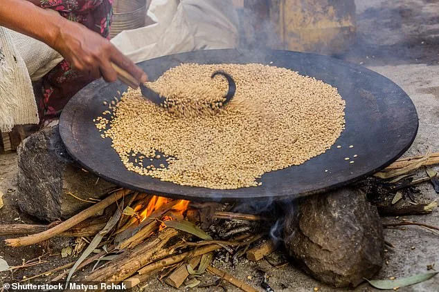 From Ethiopia to Superfood: The Ancient Grain Reshaping Global Health Trends