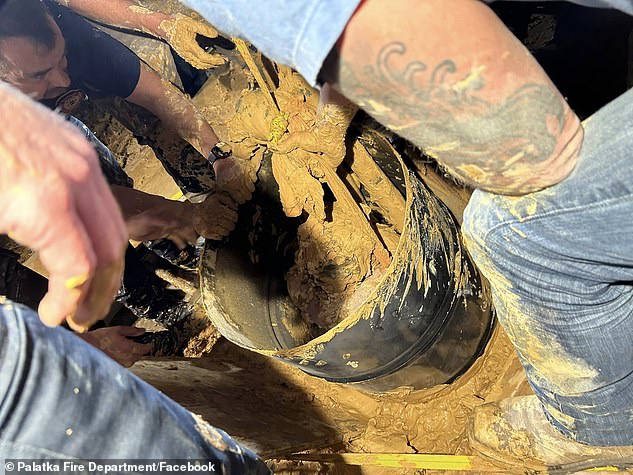 Andrew Giddens Miraculously Survives 10-Day Ordeal After Being Trapped in Florida Mud