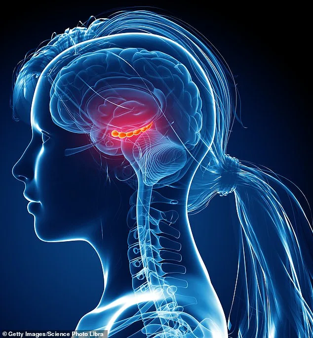 Breakthrough in Neuroscience: Brain's Resilience Offers Lifeline Against Alzheimer's and Dementia