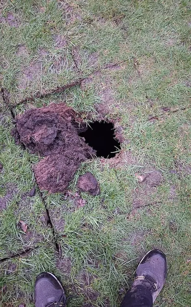 Hidden 19th-Century Wine Cellar Unearthed During Routine Golf Course Repairs at Davyhulme Park Golf Club