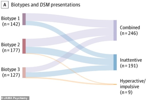Breakthrough Discovery: Three Subtypes of ADHD Uncovered, Paving the Way for Personalized Treatment