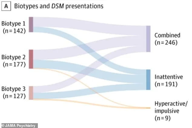 Breakthrough Discovery: Three Subtypes of ADHD Uncovered, Paving the Way for Personalized Treatment