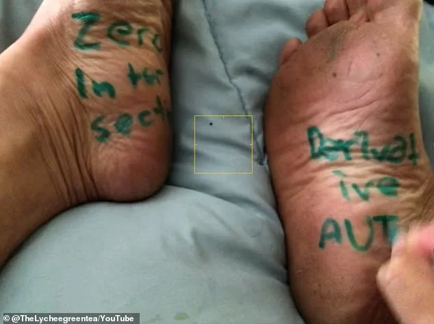 San Francisco Teacher Tom Chan Placed on Leave Amid Controversy Over Fat-Shaming Quiz and Sexist Prompts Exposed in YouTube Videos