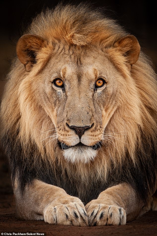 Chris Packham's *More Beautiful Than You* Exhibition Debuts in London, Showcasing Global Wildlife Photography