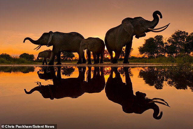 Chris Packham's *More Beautiful Than You* Exhibition Debuts in London, Showcasing Global Wildlife Photography