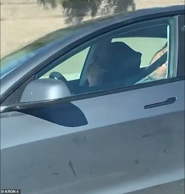 Shocking Video Shows Tesla Autopilot in Action as Elderly Couple Sleep Through Near-Miss on California Highway