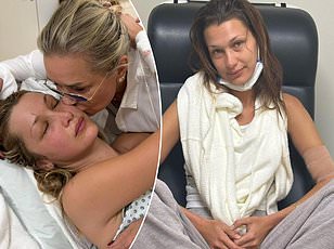 Babesia Microti Infections Double in Dutchess County, Study Warns of Rising Threat Over Lyme Disease