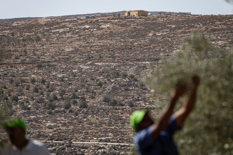 Israeli Settlers Escalate Violence in West Bank Villages, Kill Palestinian and Steal Livestock