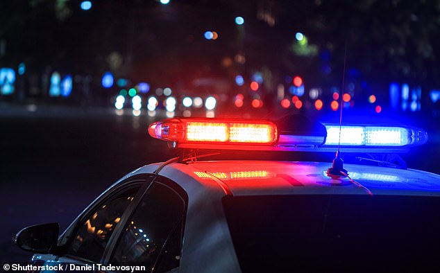 LA Council Member Alleges Racial Profiling in Traffic Stop as Authorities Cite Ticketing as Reason