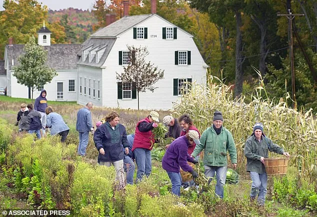 Shaking Up History: How 'The Testament of Ann Lee' Faces Oscar Overlook Despite Critical Acclaim