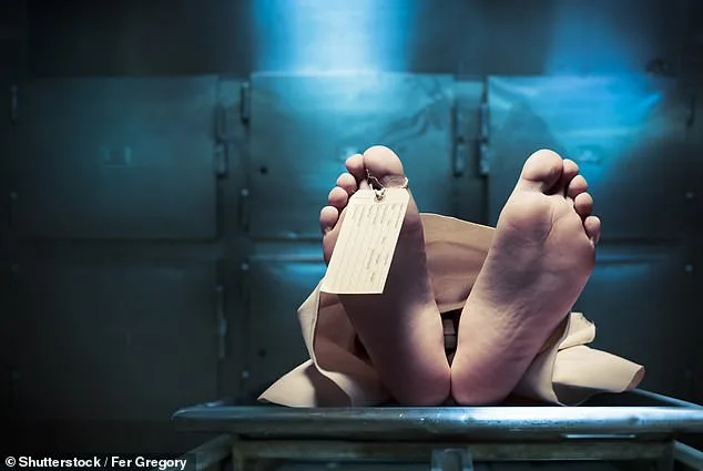 Scarlett James' Life-Changing Transformation with Cadaver Fat Injection