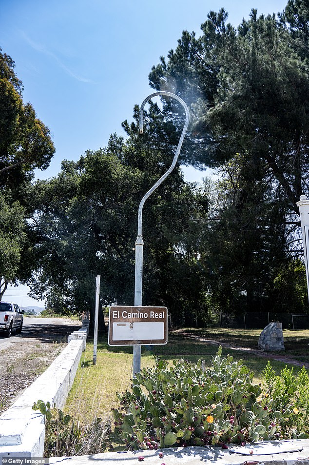 Burlingame Eucalyptus Trees Face Preservation Battle as Caltrans Launches $173M El Camino Real Project